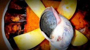 #Тыква лучистая #сорт Уральский #чугун