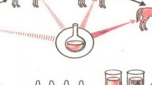 Г.Н. Габричевский — выдающийся ученый: жизнь, открытия и вклад в науку