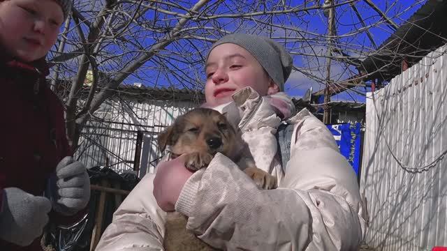 Про собаку Кекс смотреть онлайн