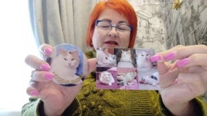 Магнитики с животными