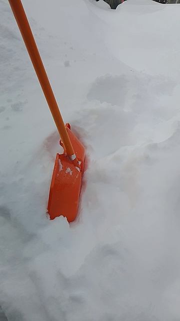 А снег ❄❄ всё не прекращает идти..