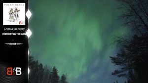 Следы на снегу