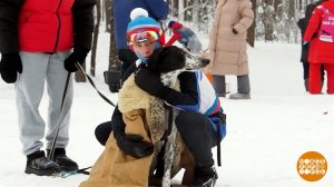 Собака - не роскошь, а средство передвижения... доброе и умное! Доброе утро. Фрагмент выпуска от ...