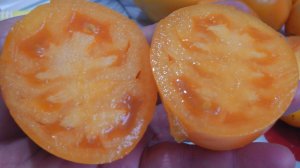 ТРИ  САМЫХ  УРОЖАЙНЫХ И НЕПРИХОТЛИВЫХ  ТОМАТА ДЛЯ ОТКРЫТОГО ГРУНТА