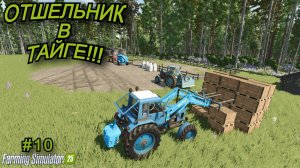 Farming Simulator 25 | отшельник в тайге🌲 | #10