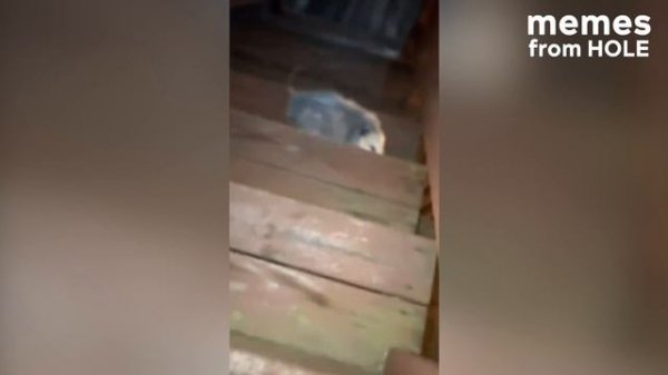 You Laugh 100 Times, You Lose