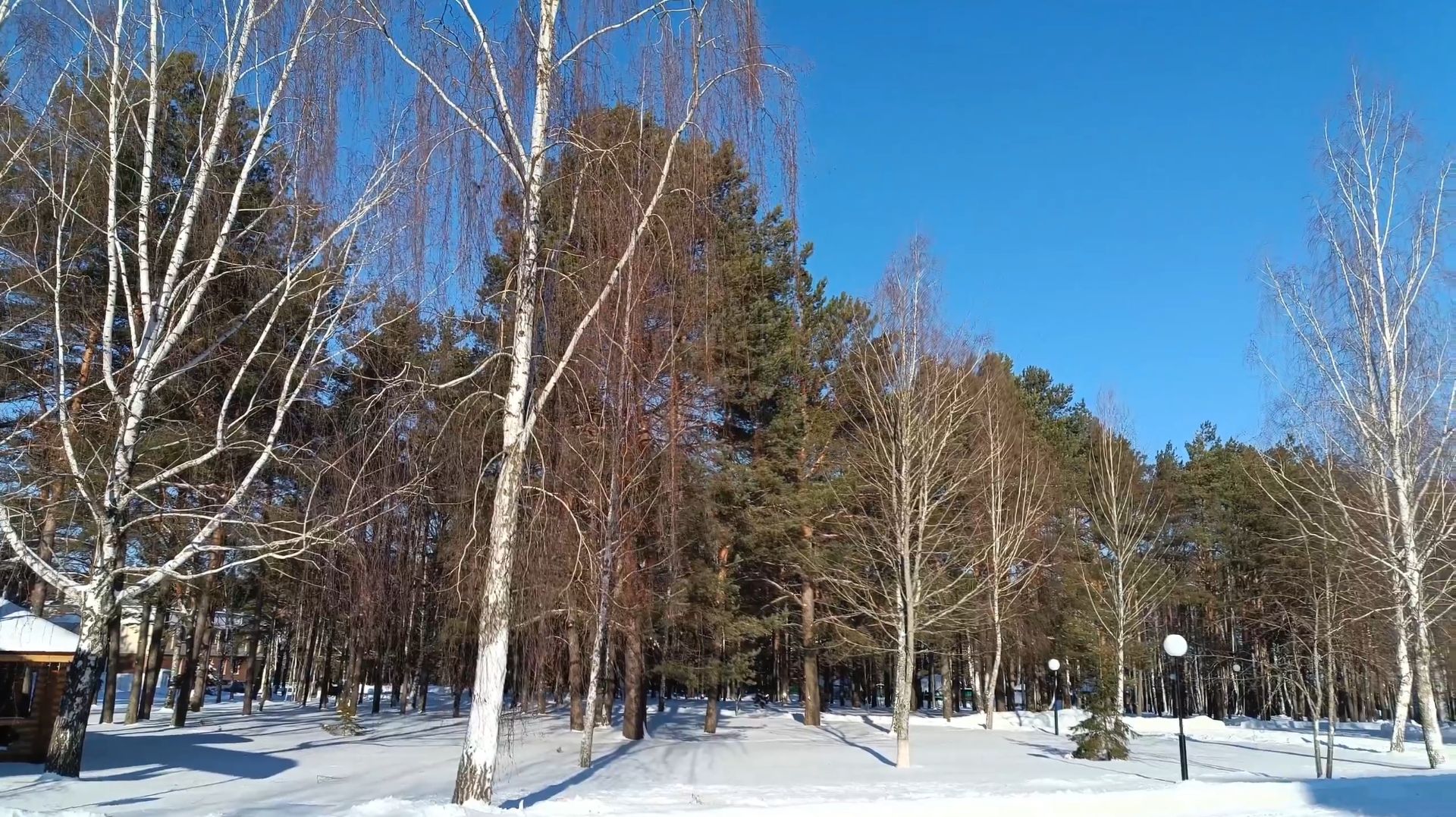 Беларусь. Февральская лазурь...