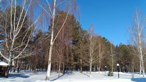 Беларусь. Февральская лазурь...