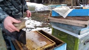 Беглый осмотр на наличие корма