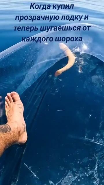 Поплавали бы? смотреть онлайн