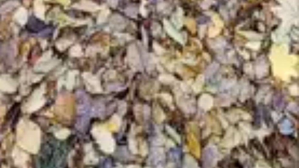 Старые фото СССР смотреть онлайн