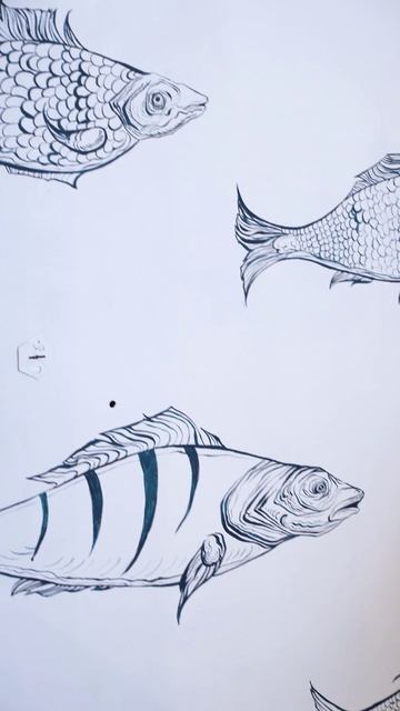 Обзор магазина (Морепродукты)