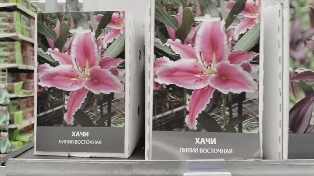 Лилии и гладиолусы в Лемана Про. 2026 год - открываем дачный сезон с Леруа Мерлен смотреть онлайн