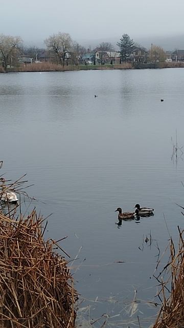 Горячий ключ, февраль 2026г.