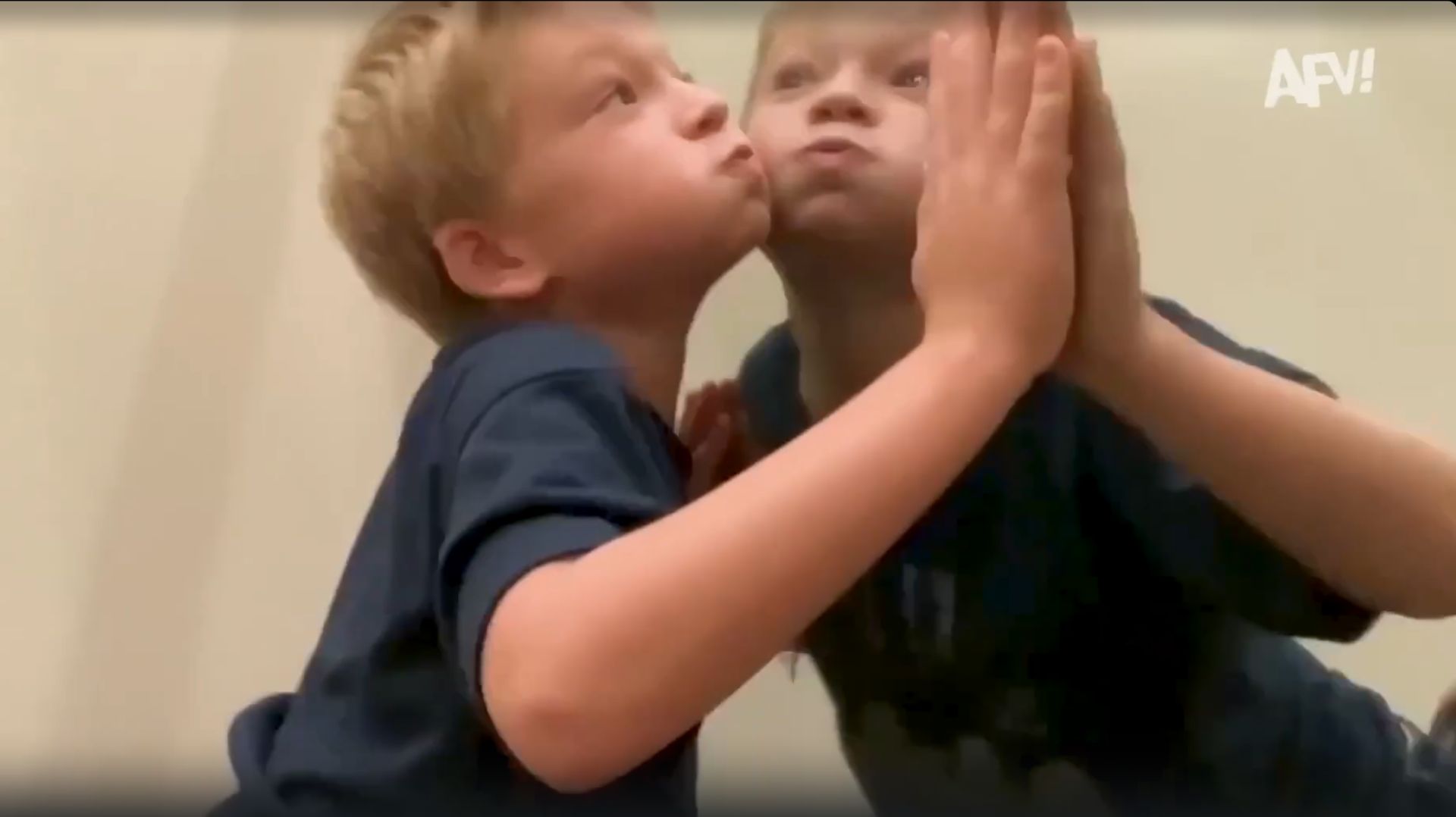 America′s Funniest Home Videos. I can't stop laughing at this fail 🤣 Funny Videos смотреть онлайн