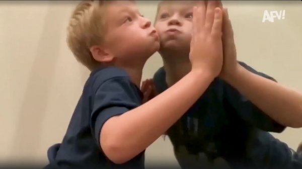 America′s Funniest Home Videos. I can't stop laughing at this fail 🤣 Funny Videos