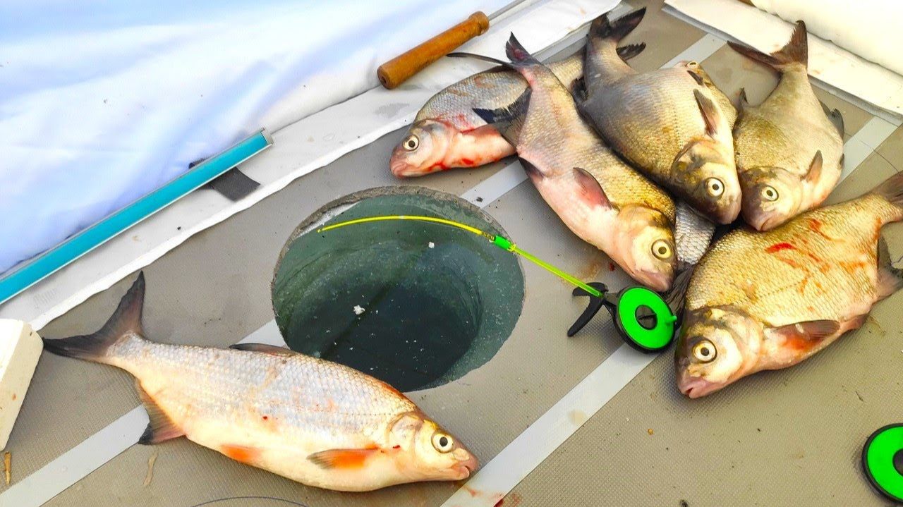 Зимняя рыбалка на леща, рыбца! Поднимает кивок ночью в палатке смотреть онлайн