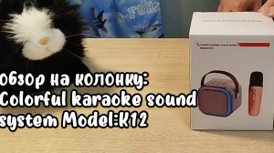 Детская Караоке Система с беспроводными микрофономи:Colorful karaoke sound  system Model:K12