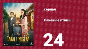 Раненые птицы 24 серия (сериал, 2019)