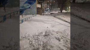 Что творится во дворах... на что надеемся... Чем дальше, тем страшнее. Весна спасительница, приди с