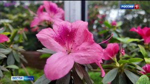 Вести-Томск, выпуск от 31.01.2026 14:30