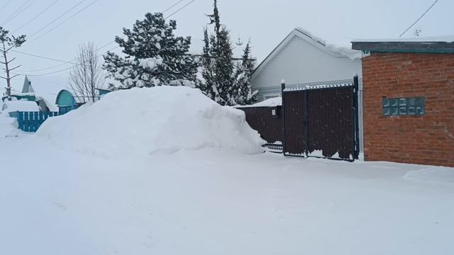 2.02.26. Фиаско пирога с ревенем. Всё мои 7🐱, кто спрашивал, вот они.И снова снег... Обедаем. смотреть онлайн