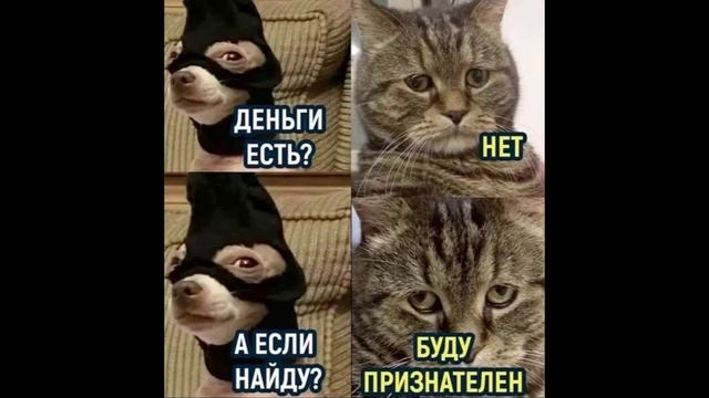 Разговоры с коллекторами 115 смотреть онлайн