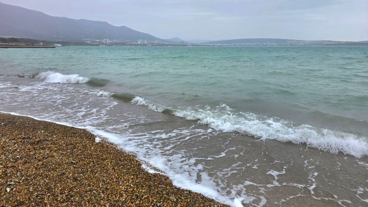 Обожаю такую погоду в Геленджике как сейчас 🌧😍👍 2.02.2026 Начал цвести фундук, все зелёное смотреть онлайн