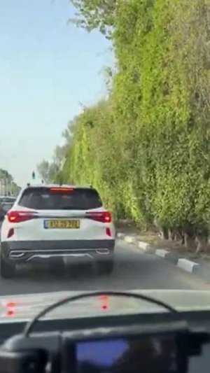 Помни, ты участник чего-то большого! Яна Титова  NSM