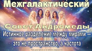 Высший Совет Андромеды | Почему многие Звёздные существа ходят рядом с нами, оставаясь невидимыми