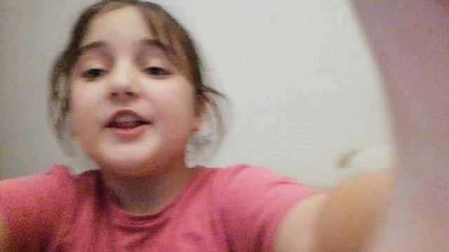 VID_20260202_172829.mp4