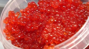 Палтус, нерка, форель, тунец, окунь – от ассортимента глаза разбегаются