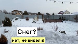 Зимовка сада БЕЗ снега! Что будет?