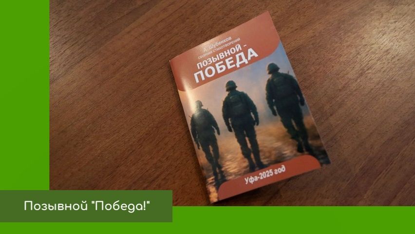 Презентация книги Шубенкова смотреть онлайн