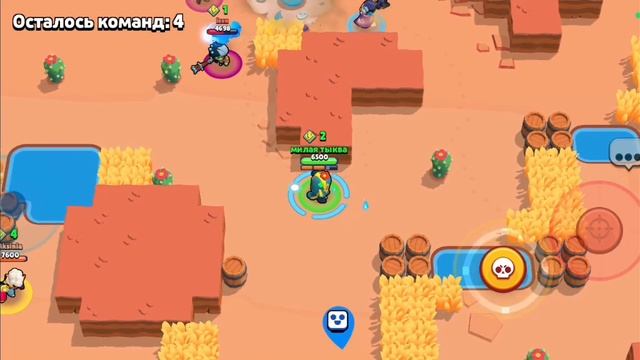 я вернулся в бравал старс