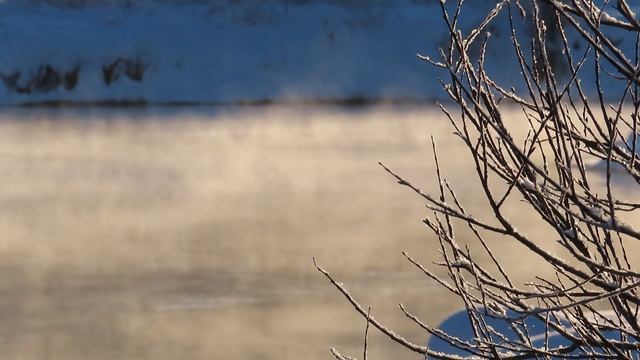 1 Ижора  8 февраля 2026  (MVI_0345)