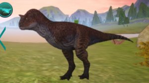 Выживание карно