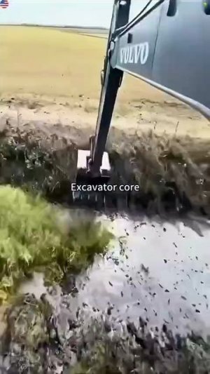 ЭКСКАВАТОРЩИКИ ВЫСШЕГО РАЗРЯДА