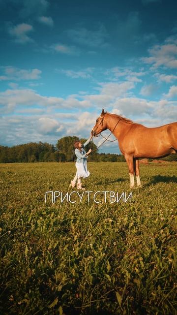 Reels - Лошадь по имени Рыжик