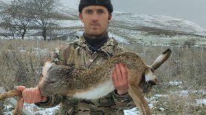 охота на зайца,как приготовить зайца