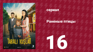 Раненые птицы 16 серия (сериал, 2019)