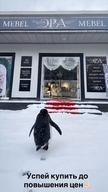 УСПЕЙ КУПИТЬ до повышения цен!!!