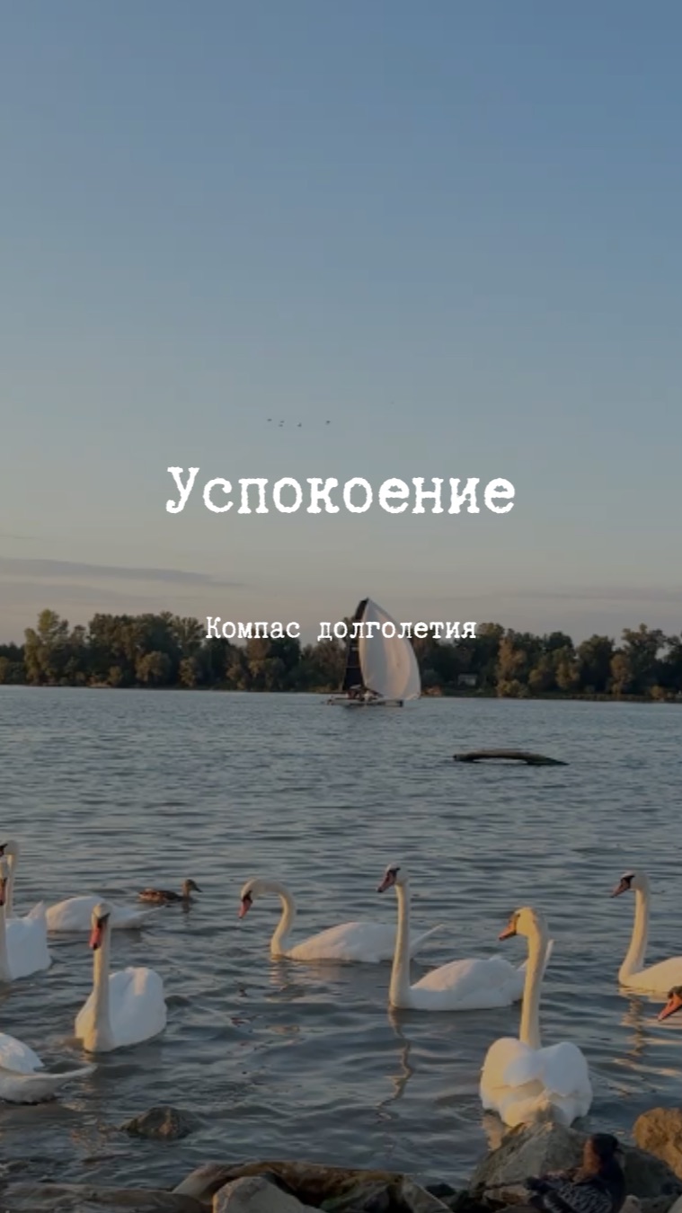 Дыхательная практика 