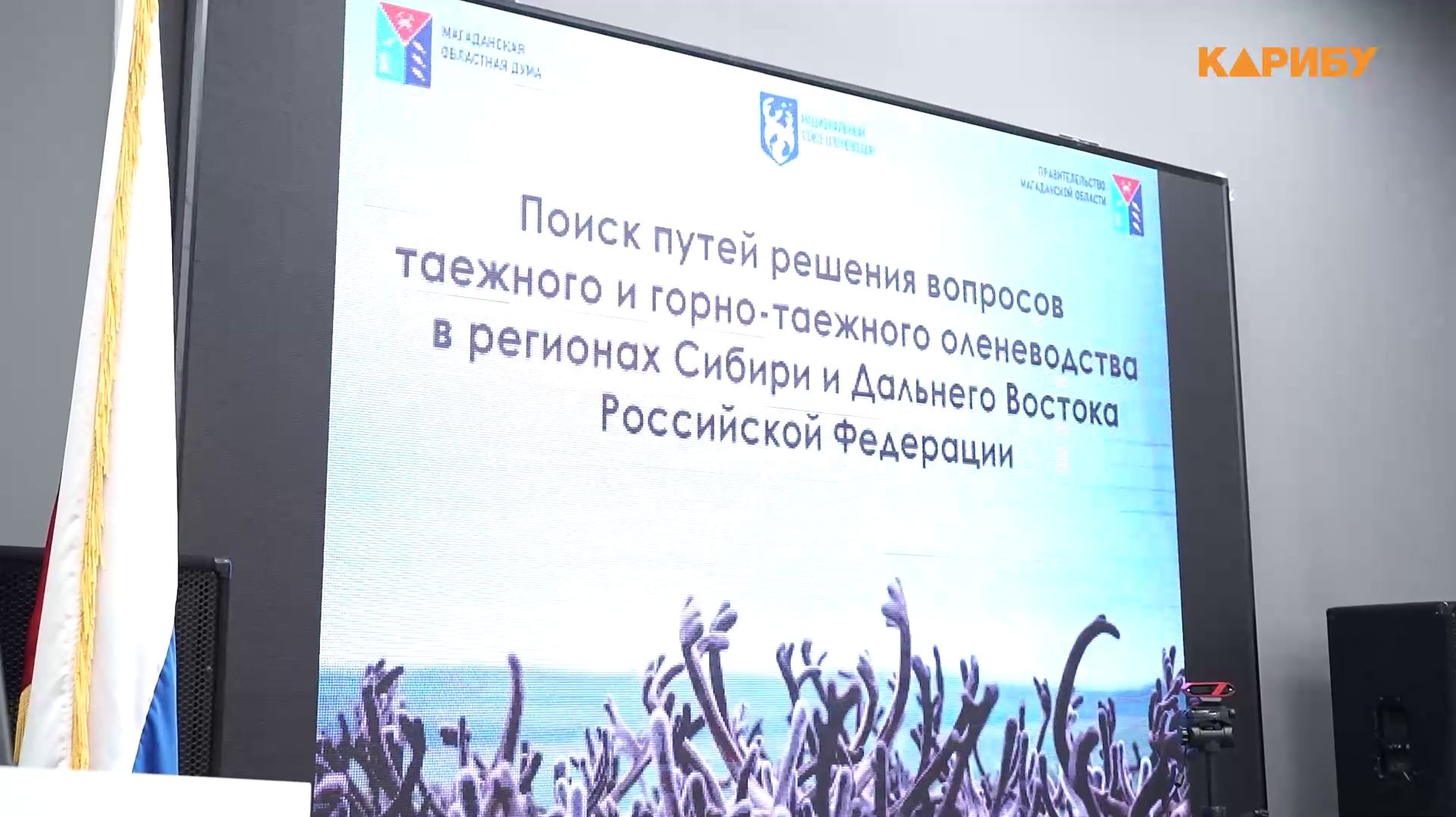 В Магадане обсудили будущее таёжного оленеводства смотреть онлайн