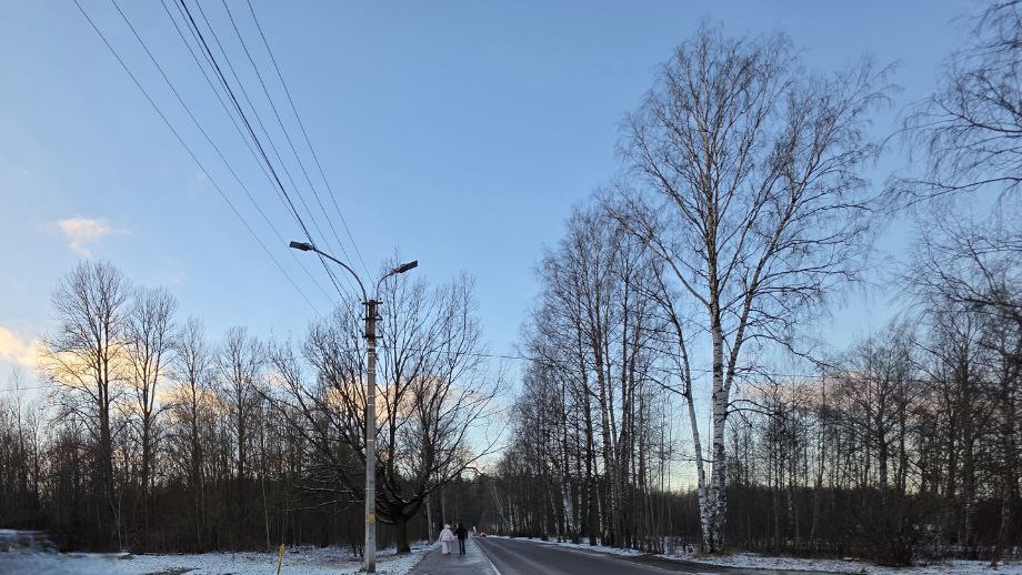 Вологдина (зу)