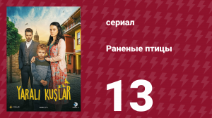 Раненые птицы 13 серия (сериал, 2019)