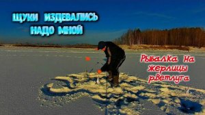 ✔ Эти щуки издевались надо мной Рыбалка на жерлицы на реке Ветлуга