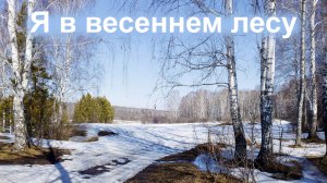 Я в весеннем лесу пил берёзовый сок.  Киже