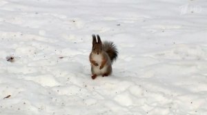 В Москве из-за морозов действует оранжевый уровень погодной опасности.