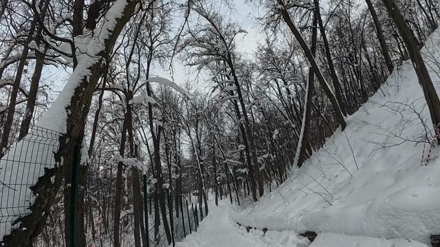 По морозцу